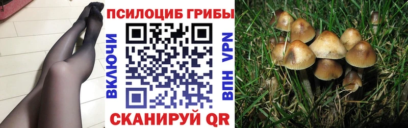 Галлюциногенные грибы Magic Shrooms  Десногорск 